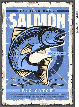 Salmon fish and fishing rod. Fisherman sport club 56003535