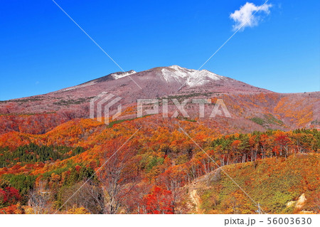 新雪の不忘山と山麓の紅葉 新雪の不忘山と山麓の紅葉 56003630