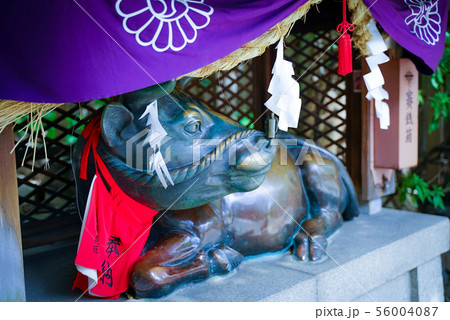 お初天神牛 56004087