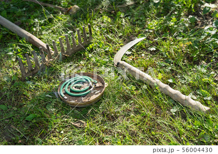 夏イメージ・芝刈りイメージ 56004430