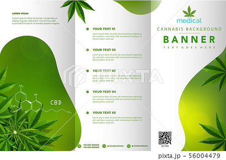 Cannabis or marijauna medical Brochure design. 56004479