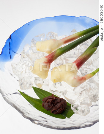 葉ショウガ 葉ショウガ 56005040