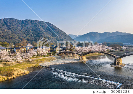 錦帯橋6 錦帯橋6 56005288