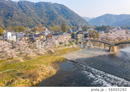 錦帯橋8 錦帯橋8 56005292