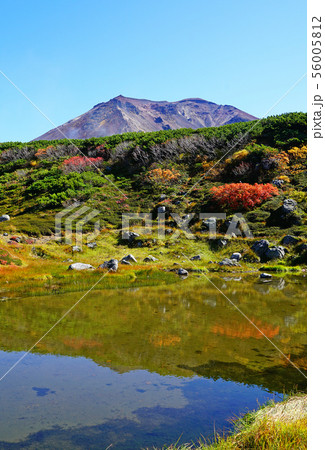 北海道 旭岳 紅葉 北海道 旭岳 紅葉 56005812