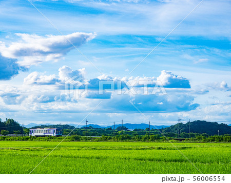 青空の下 56006554