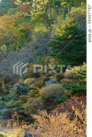 高湯温泉 福島県 高湯温泉 福島県 56007787
