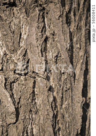 Various textures backgrounds 022 56008411