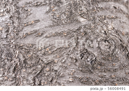 Various textures backgrounds 016 56008491