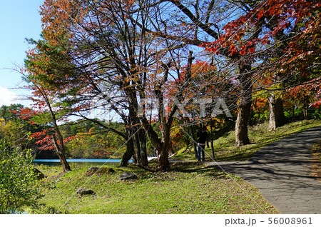 五色沼　紅葉　福島県 56008961