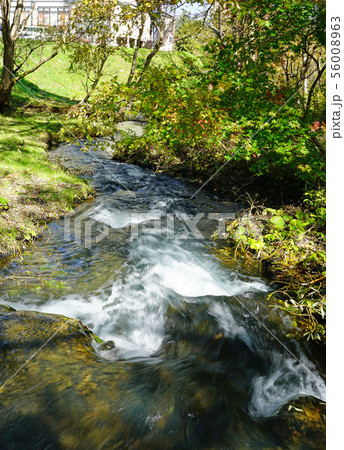五色沼　紅葉　福島県 56008963