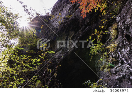 (群馬県)妙義山・登山道 第二石門 紅葉 (群馬県)妙義山・登山道 第二石門 紅葉 56008972