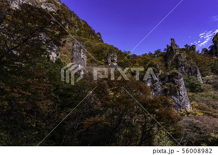 (群馬県)妙義山・登山道 第二石門付近の紅葉 (群馬県)妙義山・登山道 第二石門付近の紅葉 56008982