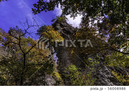 (群馬県)妙義山・登山道 第二石門 紅葉 (群馬県)妙義山・登山道 第二石門 紅葉 56008986