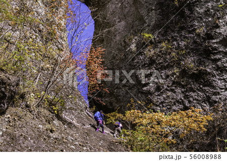 （群馬県）妙義山・登山道　第二石門　紅葉 56008988