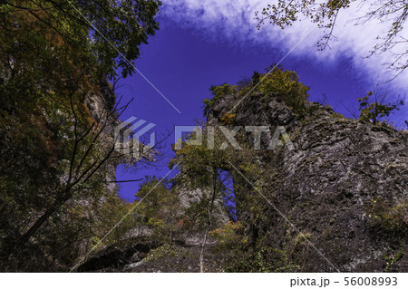 (群馬県)妙義山・登山道 第二石門 紅葉 (群馬県)妙義山・登山道 第二石門 紅葉 56008993