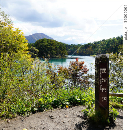 五色沼　紅葉　福島県 56009004