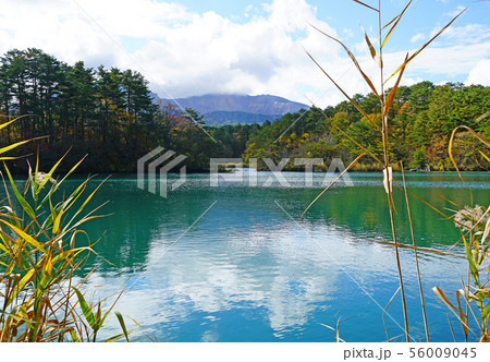 五色沼　紅葉　福島県 56009045