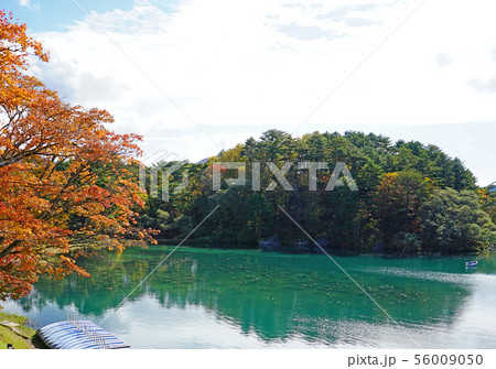 五色沼 紅葉 福島県 五色沼 紅葉 福島県 56009050