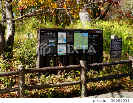 五色沼　紅葉　福島県 56009051