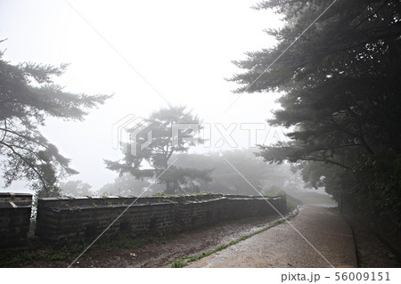 南漢山城 性 城 56009151