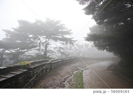 南漢山城 性 城 56009165