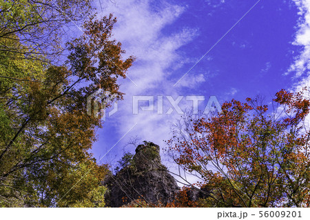 （群馬県）秋の妙義山　第一石門付近の景色 56009201