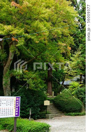 立石寺 紅葉 山形県 立石寺 紅葉 山形県 56009377