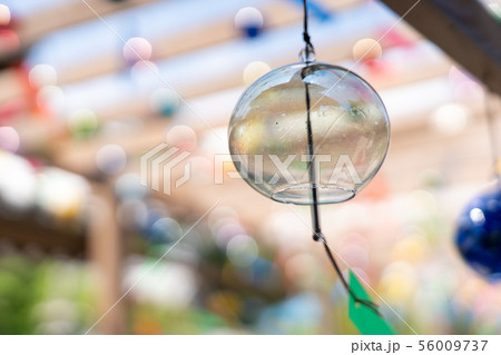 遠州三山の風鈴まつり 56009737