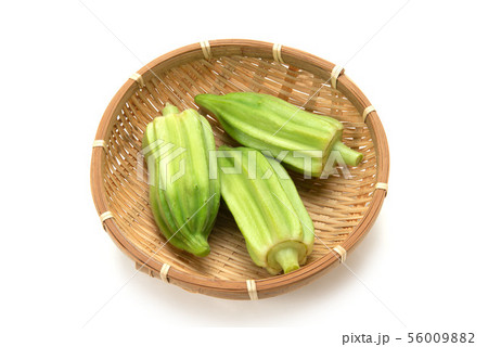 スターオブデイビッド 56009882