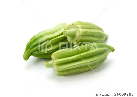 スターオブデイビッド 56009886