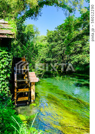 大王わさび農場の風景 大王わさび農場の風景 56012290