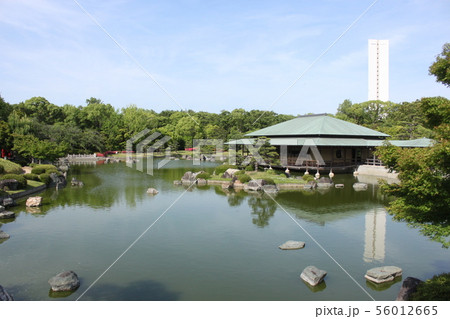 堺市大仙公園内日本庭園の新緑風景 堺市大仙公園内日本庭園の新緑風景 56012665