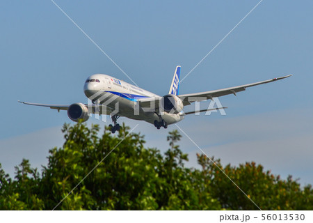 Airplane landing at Singapore Airport 56013530