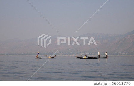 Catching fish on Inle Lake, Myanmar 56013770