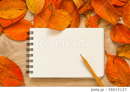 メッセージノート メッセージノート 56015137