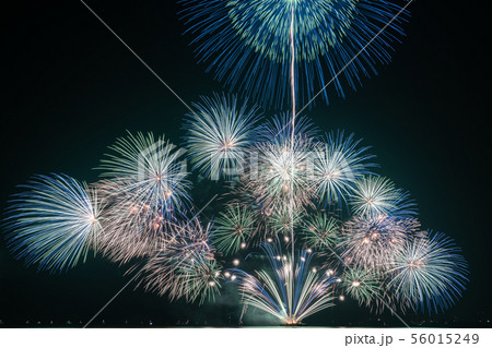 津花火 夏・華・美2019 津花火 夏・華・美2019 56015249