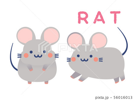 cute tiny rat character design vector 56016013