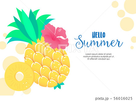 yellow tropical Pineapple illustration vector yellow tropical Pineapple illustration vector 56016025