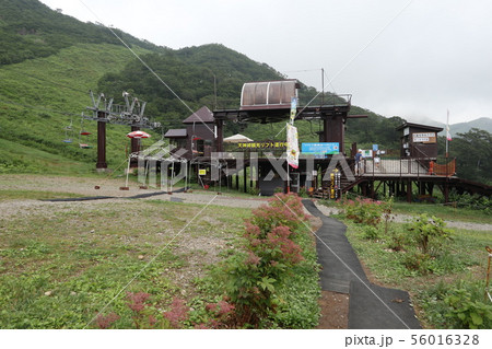 谷川岳登山口天神平のロープウエー駅から天神山へ登るスキーリフト駅を見る 谷川岳登山口天神平のロープウエー駅から天神山へ登るスキーリフト駅を見る 56016328