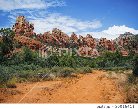 Red Rocks in Sedona Arizona 56016411