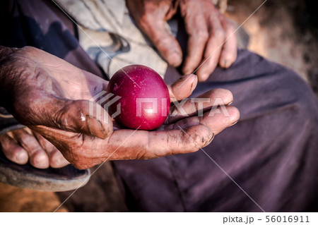 red eggs in the old man's hand red eggs in the old man's hand 56016911
