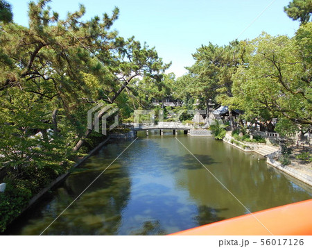 橋の上から 56017126