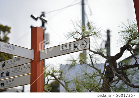 柴又　矢切の渡し　案内 56017357