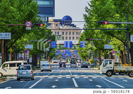 大阪 御堂筋 大阪 御堂筋 56018178