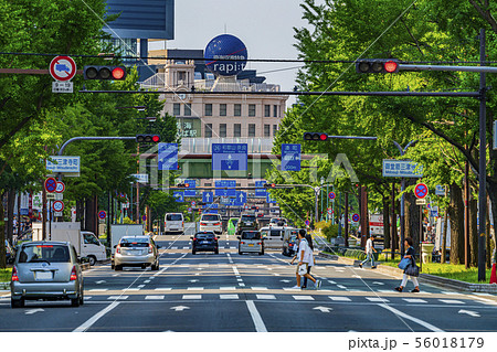 大阪 御堂筋 大阪 御堂筋 56018179
