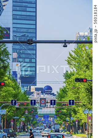 大阪 御堂筋   大阪 御堂筋   56018184