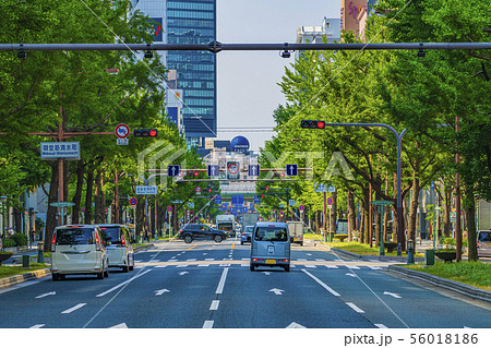 大阪　御堂筋　　 56018186