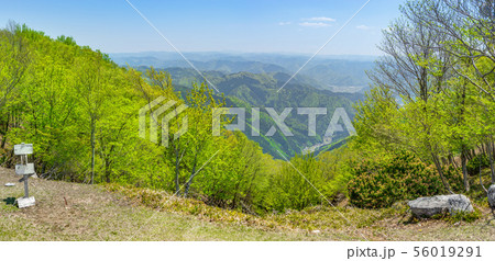 丹波の名山「長老ヶ岳」山頂の風景（京都府船井郡京丹波町）※作品コメント欄に撮影位置 56019291