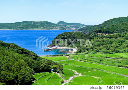 海と棚田 56019365